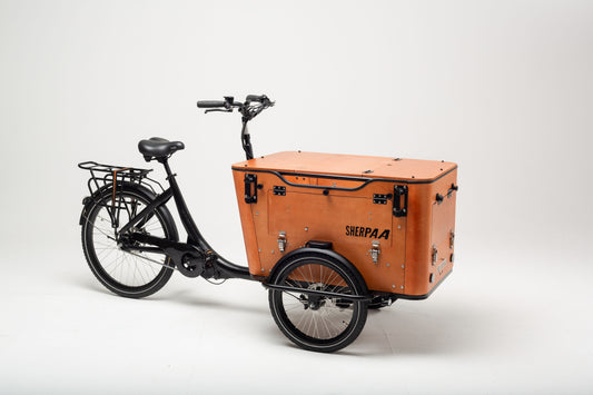 The Future of Urban Delivery: Why Cargo Bikes Are Redefining City Logistics